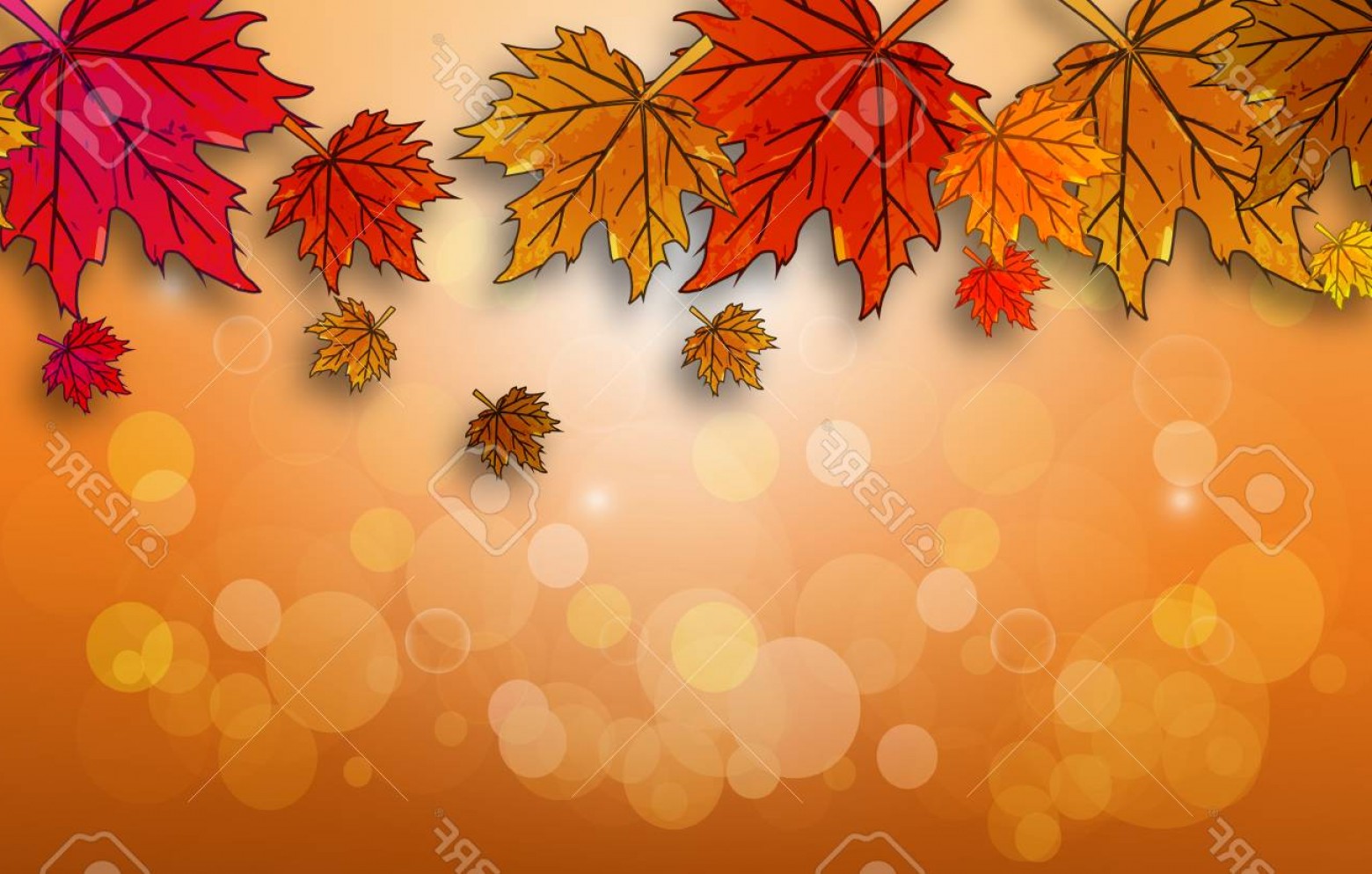 1560x994 Autumn Backgrounds Vector Graphic Cqrecords