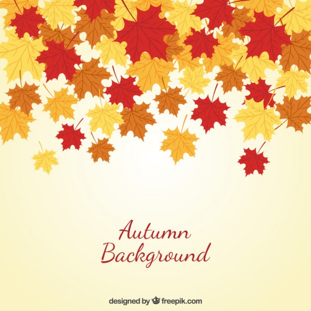 626x626 Autumn Background With Leaves Vector Free Download
