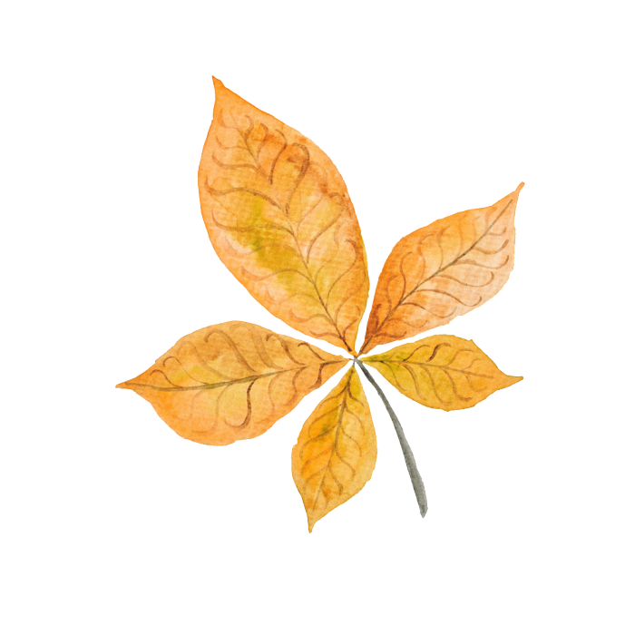 700x700 Autumn Leaf Decoration Vector Fall Vector Free, Autumn, Autumn