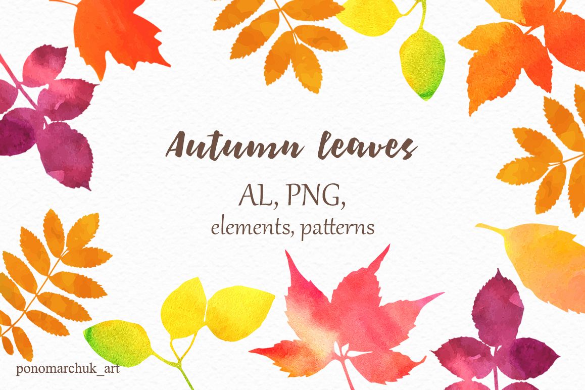 1158x772 Autumn Leaves, Vector