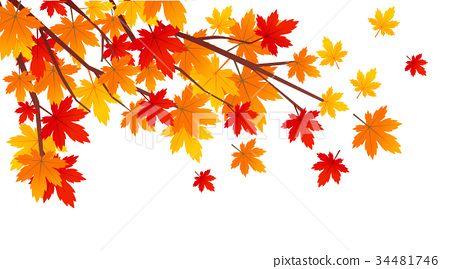 450x269 Autumn Leaves Vector Illustration