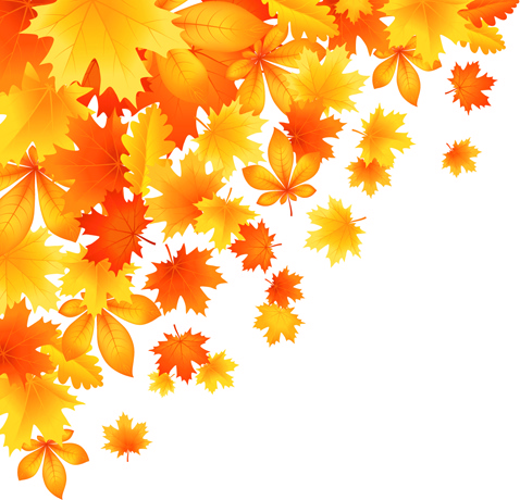 478x460 Beautiful Autumn Leaves Vector Free Vector In Encapsulated