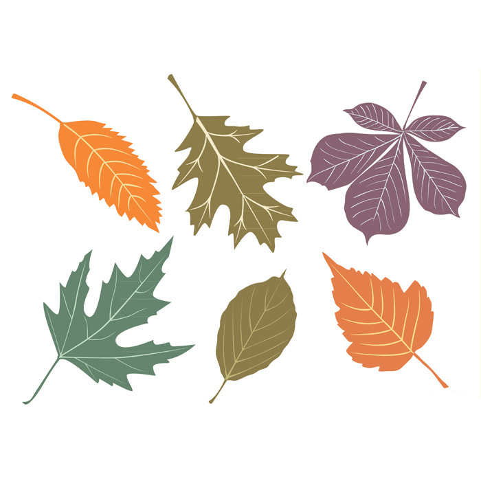 700x700 Bytedust Lab Vector Design This Free Vector Autumn Leaves Set
