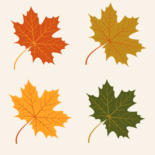500x500 Kind Autumn Leaves Vector Material Free Download