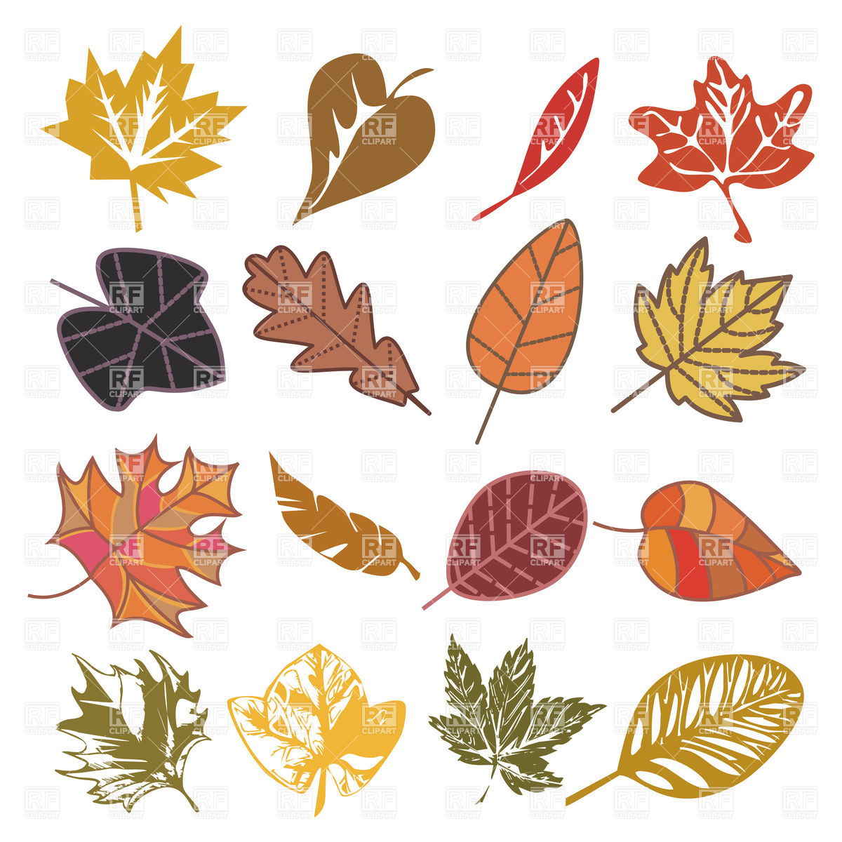 1200x1200 Dry Autumn Leaves Isolated On White Vector Image Of Plants