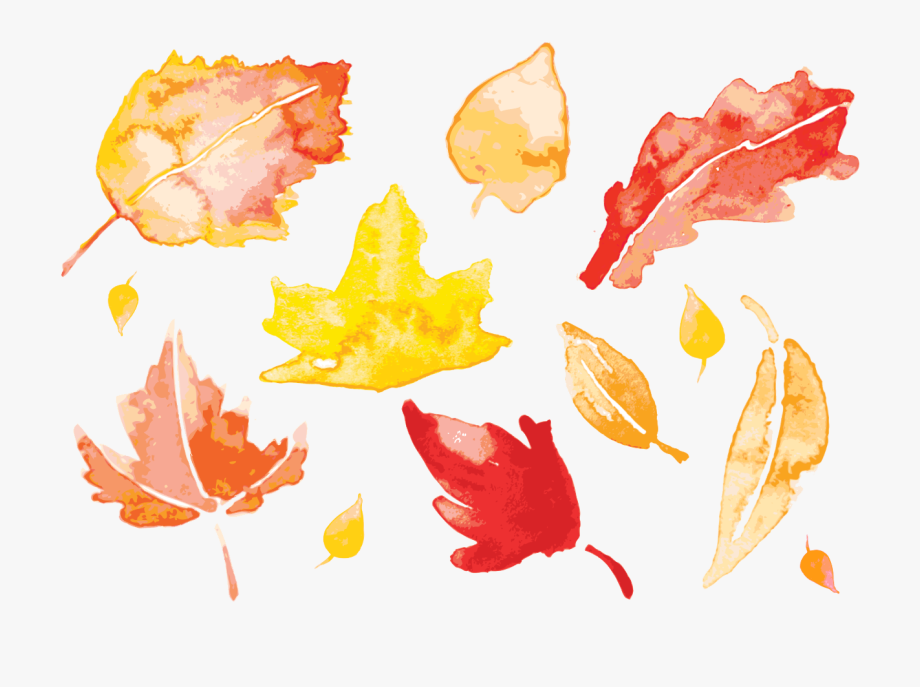 920x687 Fall Leaf Vector Png