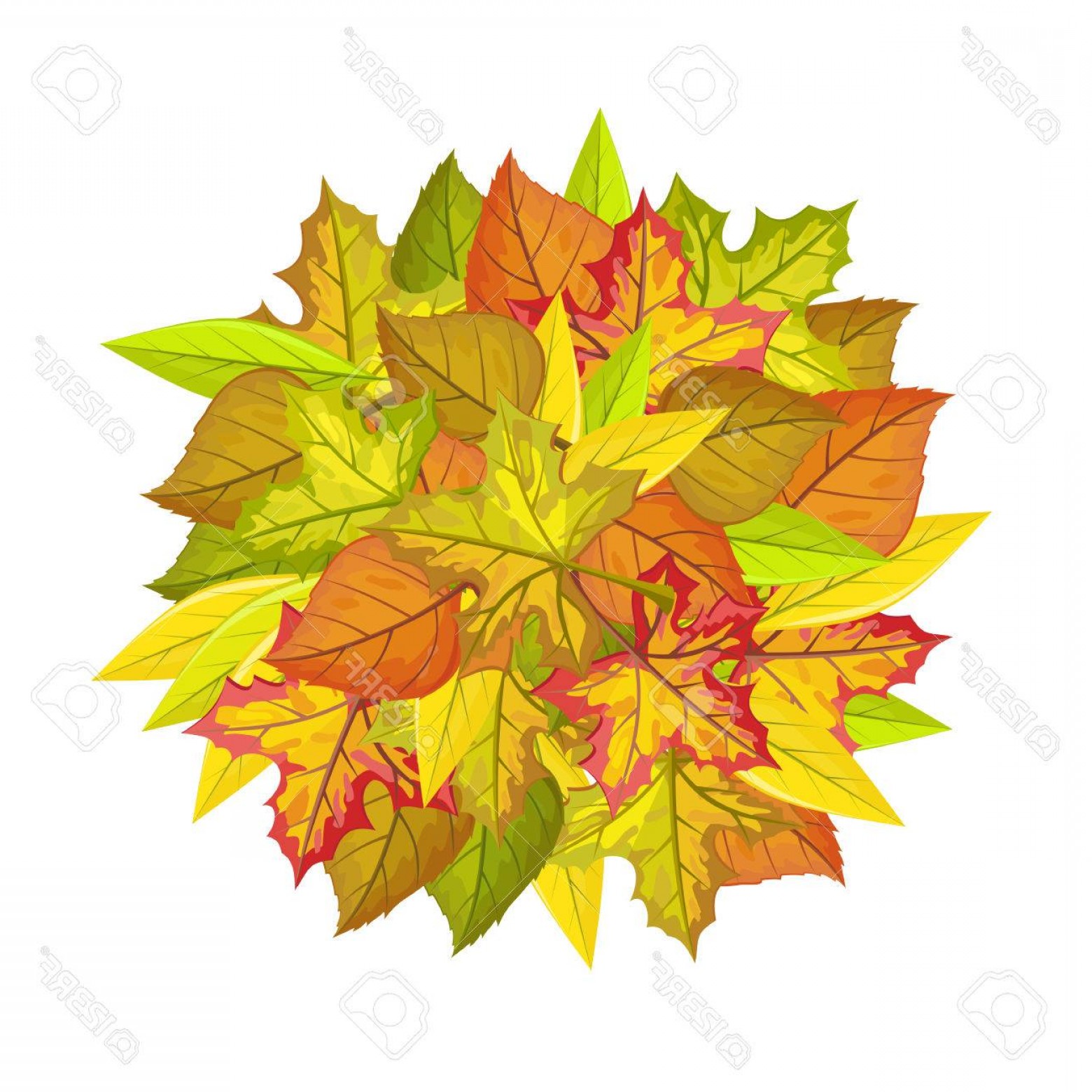 1560x1560 Photostock Vector Autumn Leaves Vector Concept Flat Design Ball