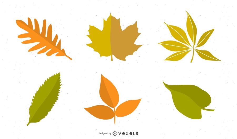 900x529 Vector Autumn Leaves