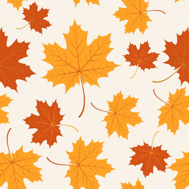 626x626 Vector Seamless With Autumn Maple Leaves Vector Free Download