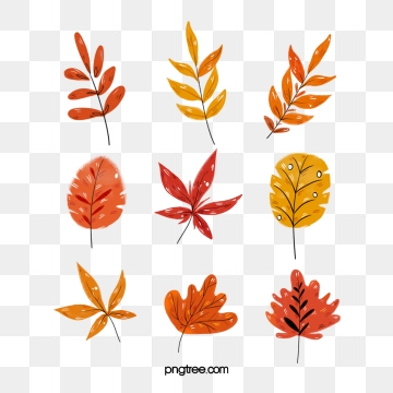 360x360 Autumn Leaves Png, Vector, And Clipart With Transparent