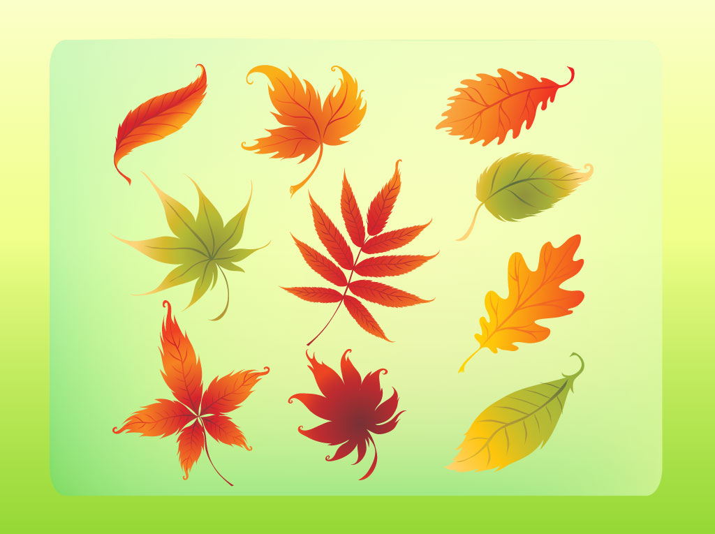 1024x765 Autumn Leaves Vector Set Vector Art Graphics