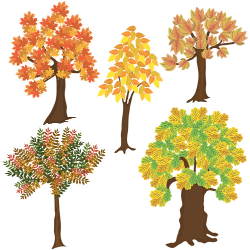 500x501 Autumn Trees