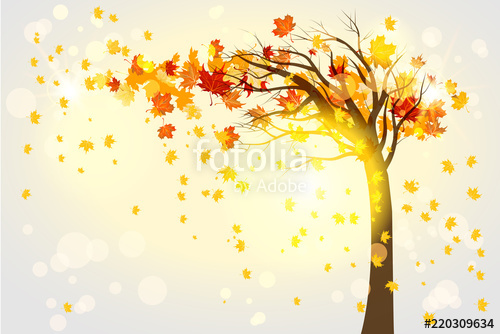 500x334 Lonely Autumn Tree Stock Image And Royalty Free Vector