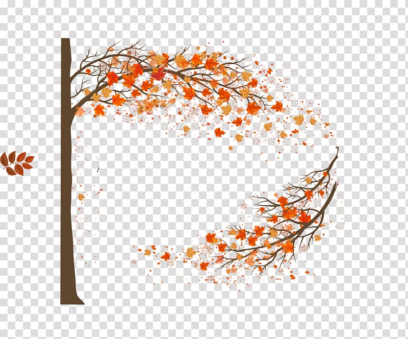 800x664 Maple Leaf Autumn Tree, Tree Leaves Transparent Background Png