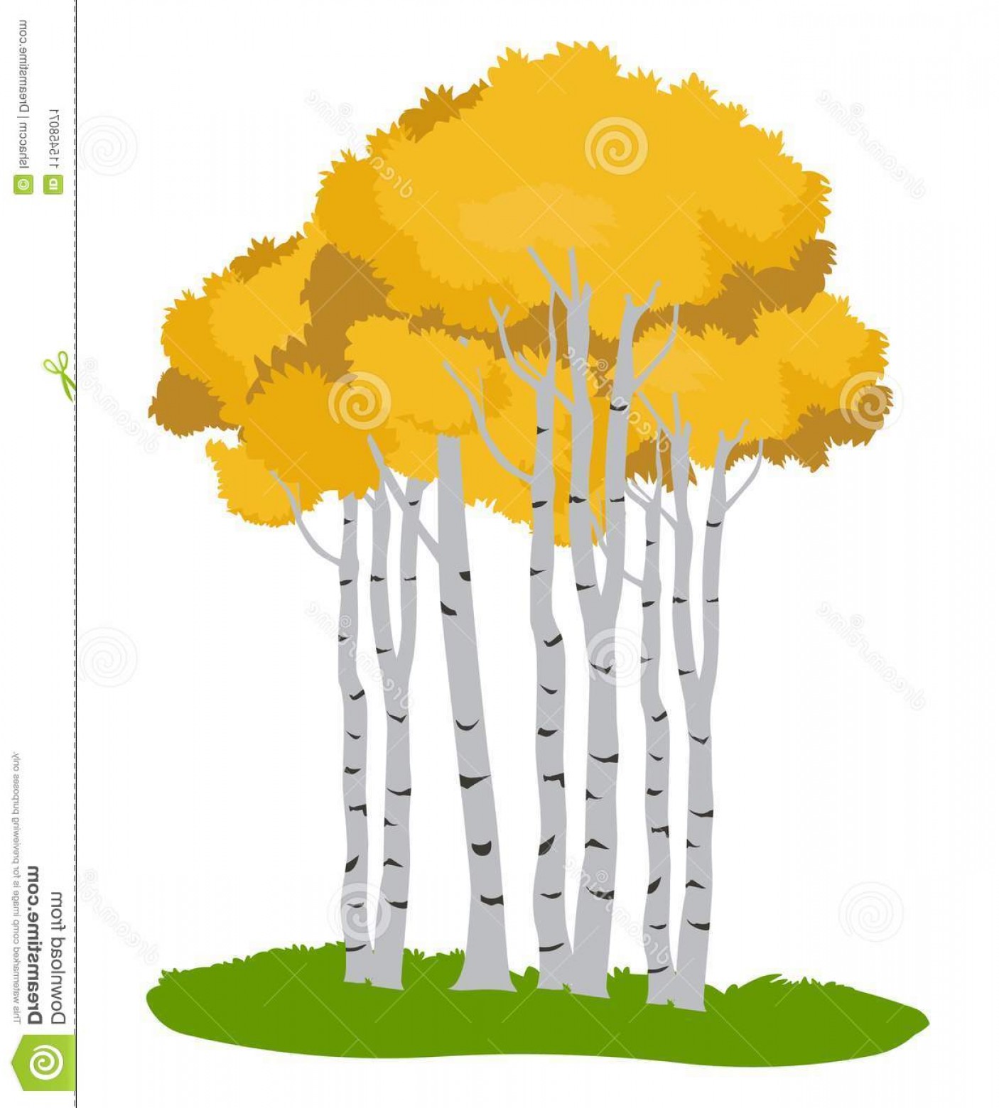 1406x1560 Aspen Trees Tree Illustration Autumn Tree Aspen Trees Vector