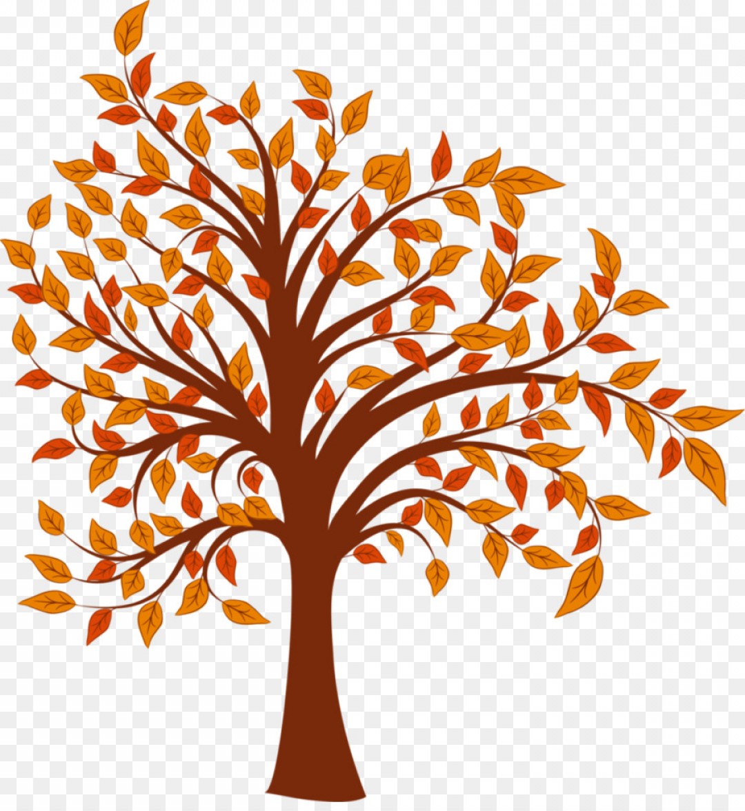 1080x1176 Png Tree Autumn Cartoon Clip Art Tree Vector Soidergi
