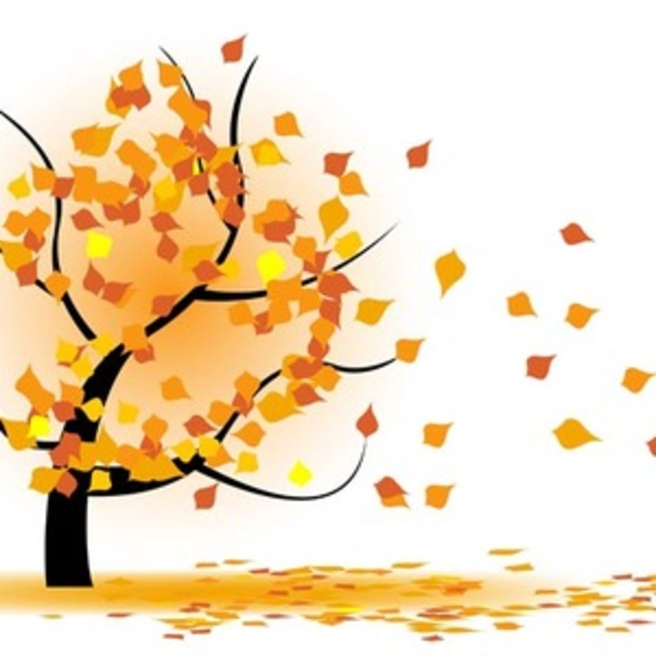 936x936 Vector Autumn Tree Freevectors