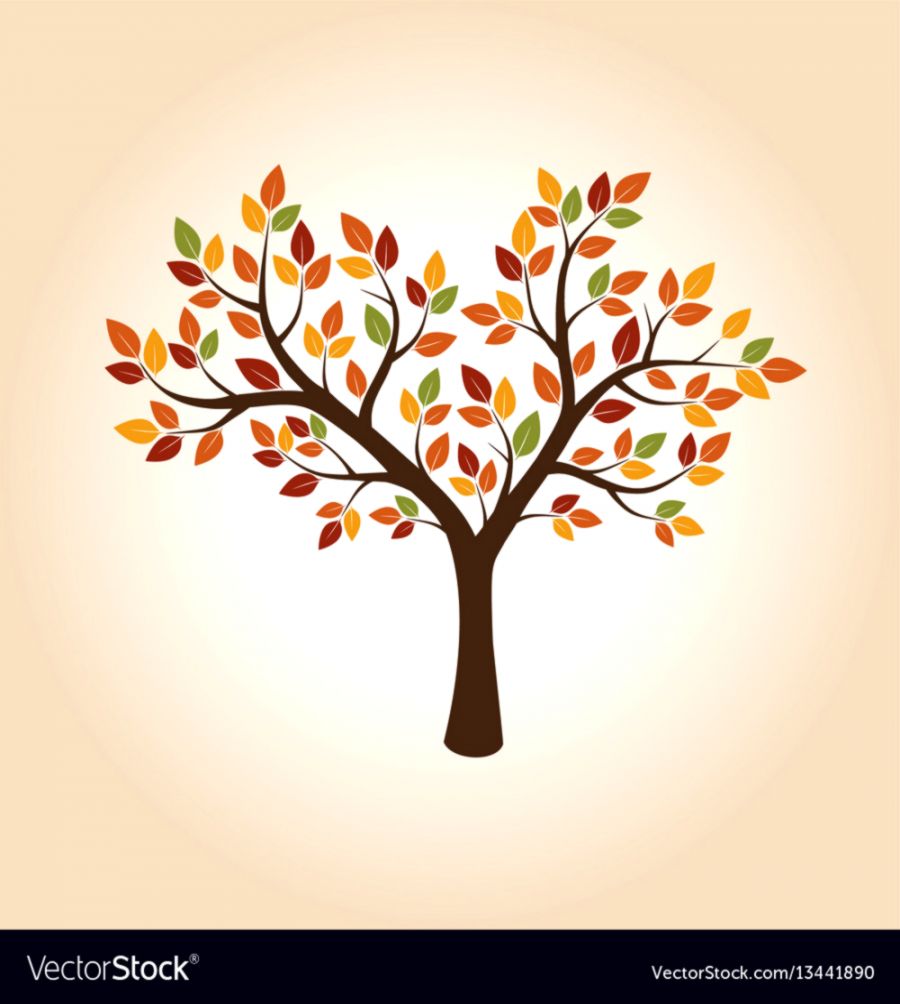 900x1004 Autumn Tree Drawing Densus Wallpapers