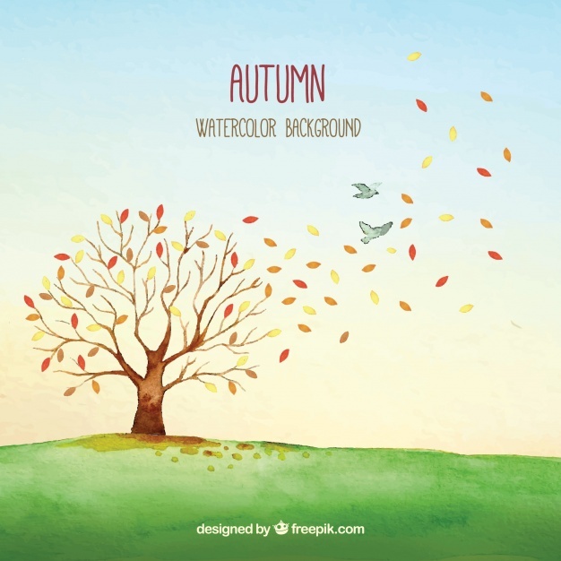 626x626 Autumn Tree Vectors, Photos And Free Download