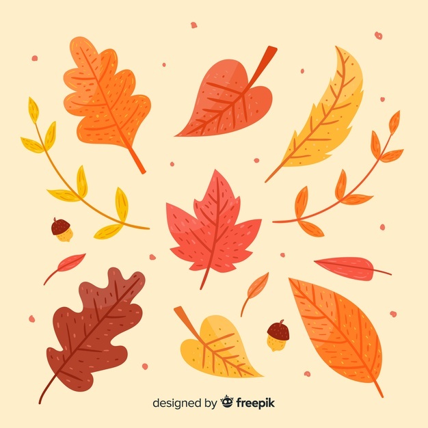 Autumn Vectors, Photos And Free Download 626x626 Autumn Vectors, Photos And Free Download