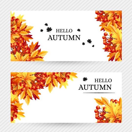 Banners Autumn Vector Material Free Download 539x539 Banners Autumn Vector Material Free Download