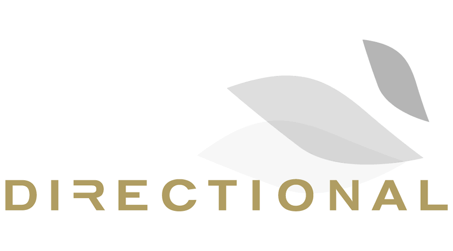 900x500 Directional Aviation Vector Logo Free Download