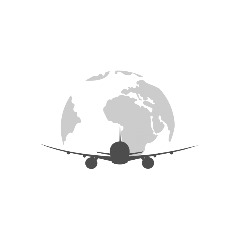 820x820 Airplane Logo Travel Logo Travel Logo, Fly Logo