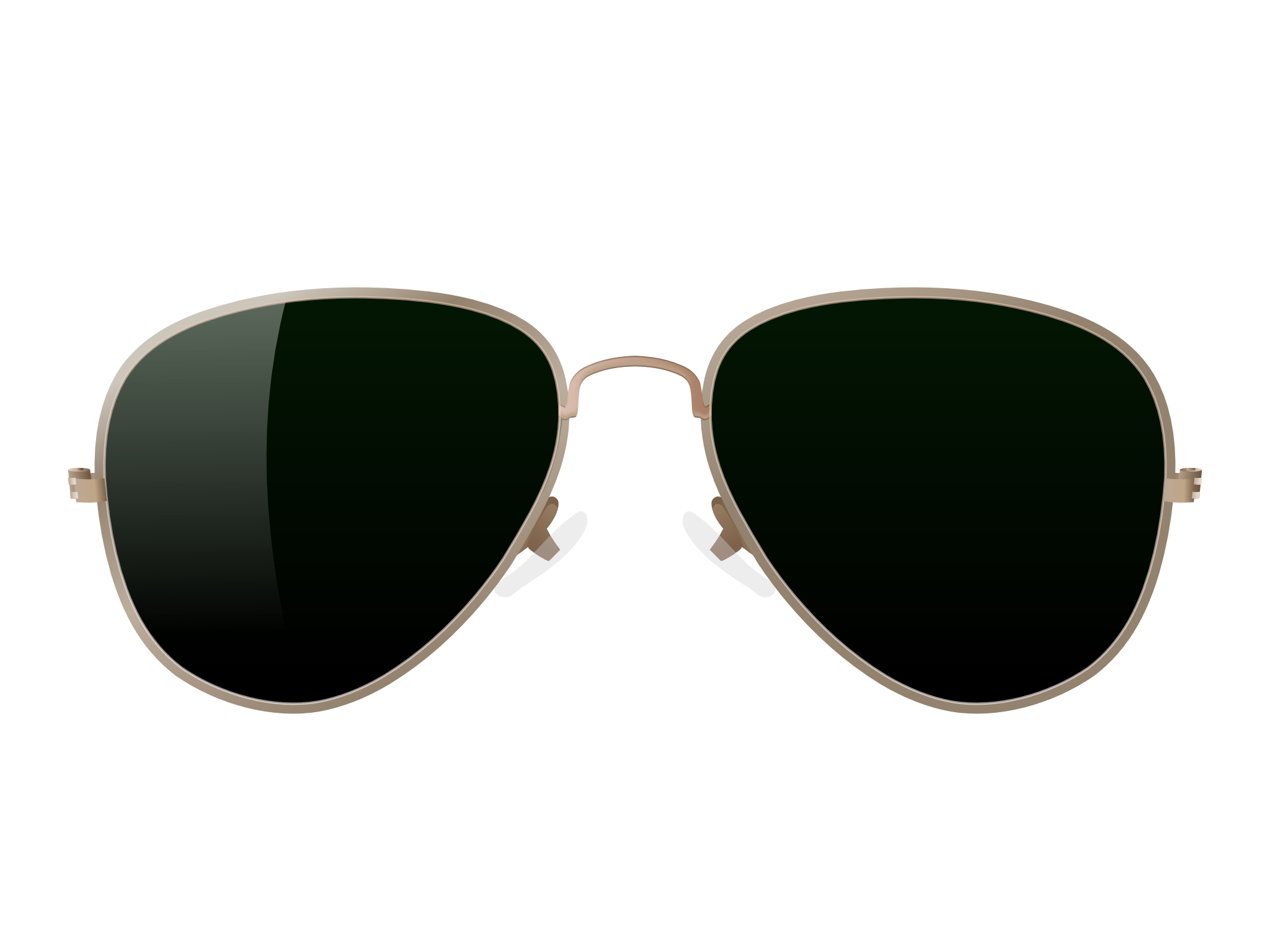 2048x1536 Aviator Sunglasses Vector