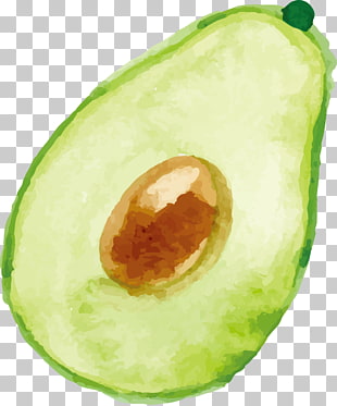 Avocado Vector