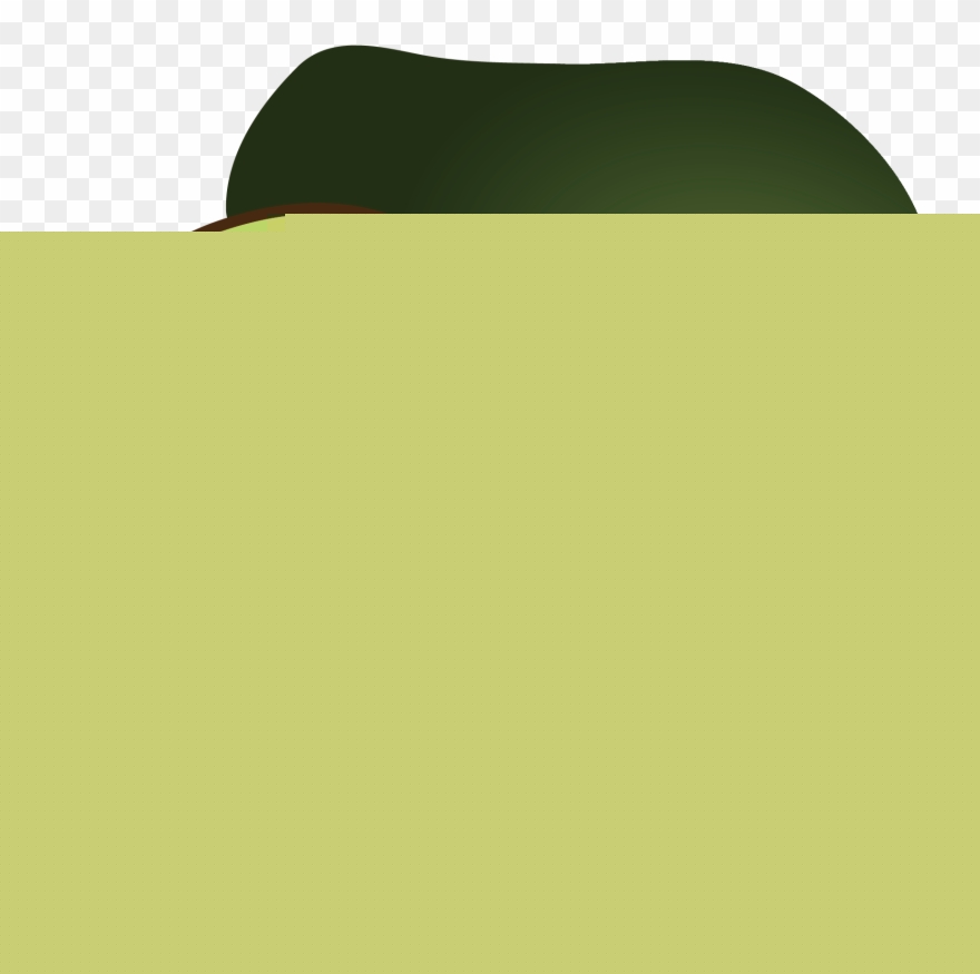 880x875 Avocado Watercolor Painting Computer