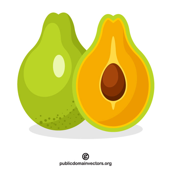 660x660 Avocado Vector Clip Art