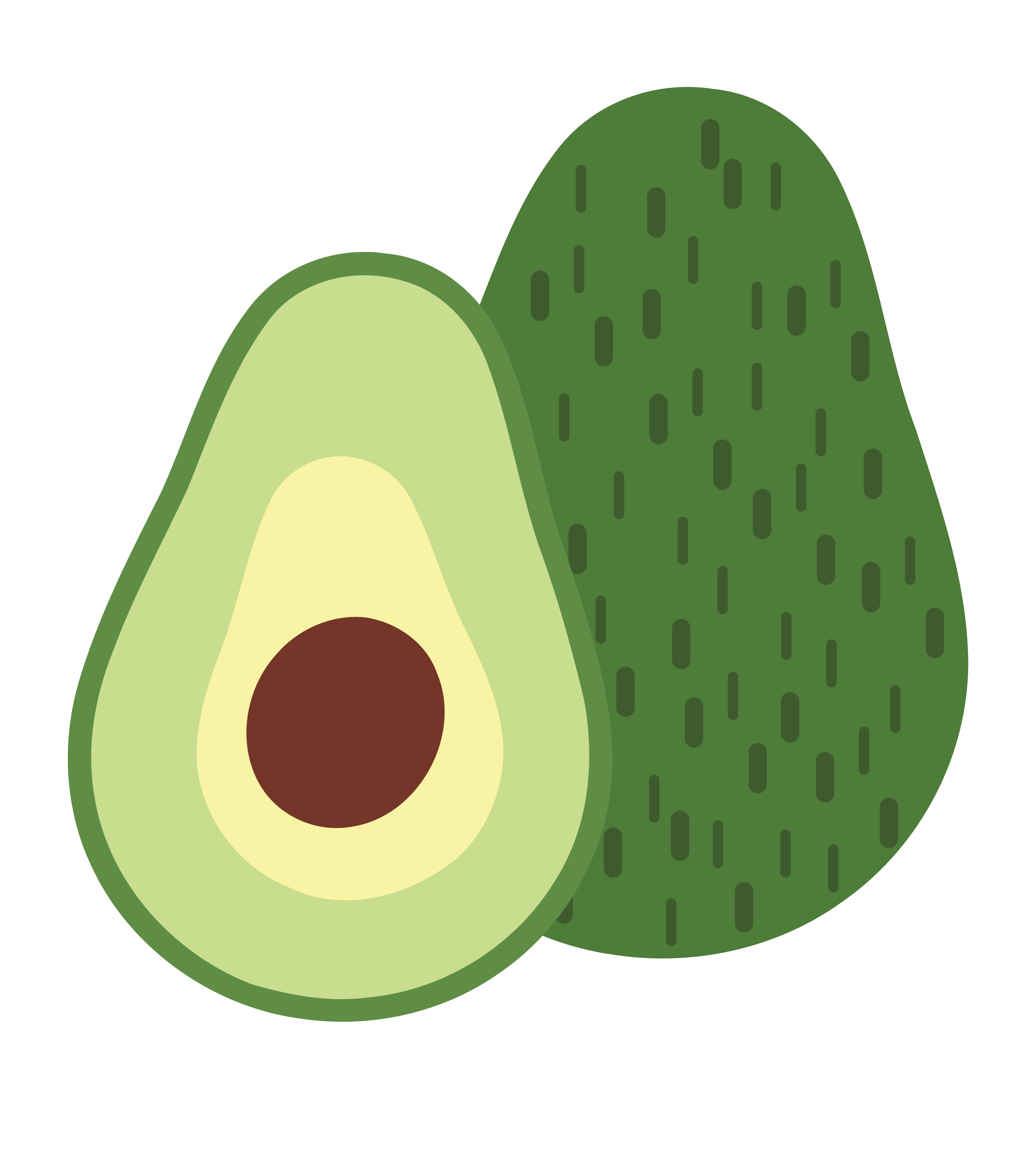 Avocado Vector at Vectorified.com | Collection of Avocado Vector free ...