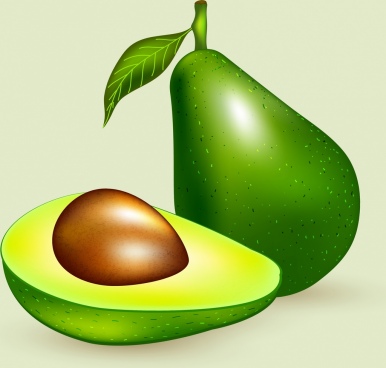386x368 Avocado Vector Free Vector Download
