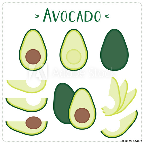 500x500 Avocado Vector Illustration Set Whole, Sliced And Halved Avocado