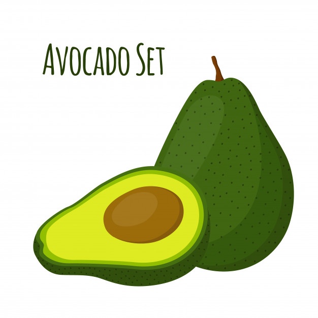 626x626 Avocado Whole And Slice Vector Premium Download