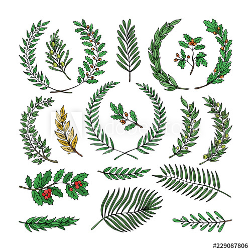 500x500 Wreath Vector Tree Branch Herald Wreathed Decoration With Wreathen