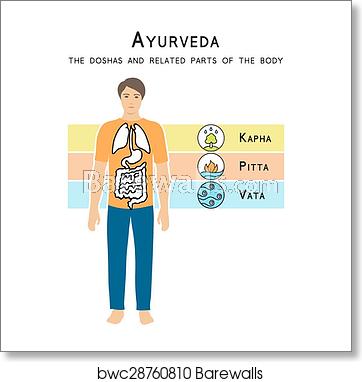 362x382 Ayurveda Vector Illustration, Art Print Barewalls Posters