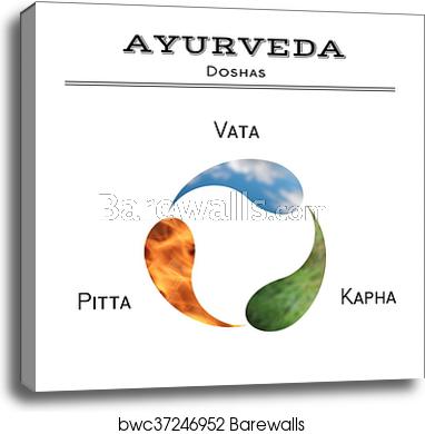 382x390 Ayurveda Vector Illustration, Canvas Print Barewalls Posters
