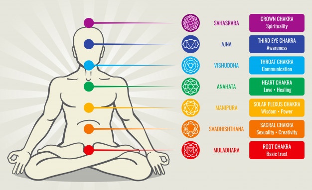 626x382 Human Energy Chakra System, Ayurveda Love Asana Illustration