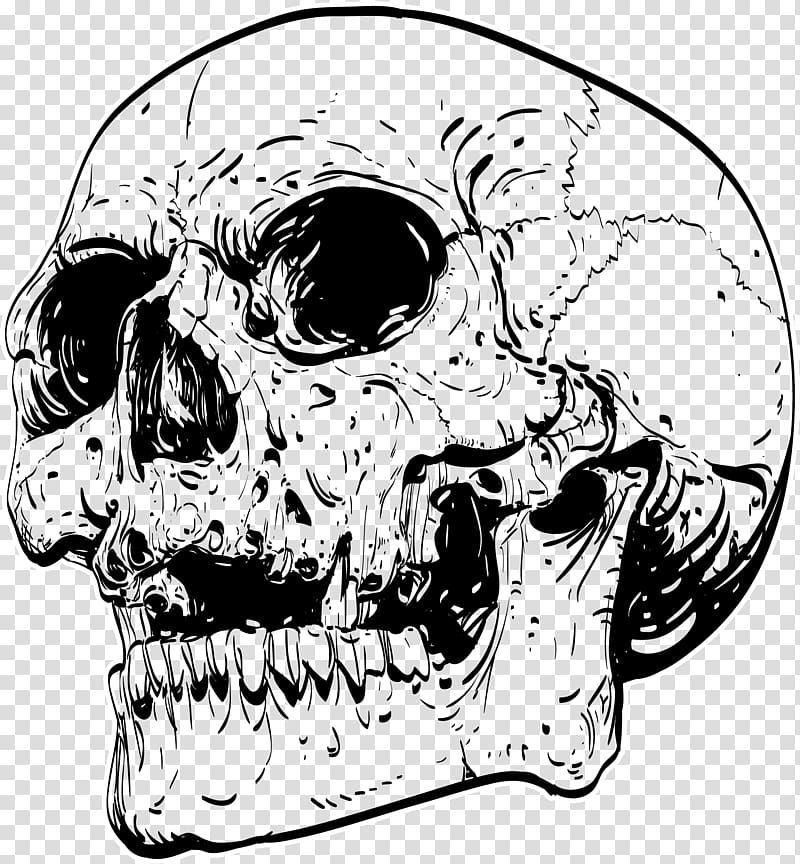 800x864 Black Skull Sketch, T Shirt Skull Drawing Work Of Art, Punk Wind