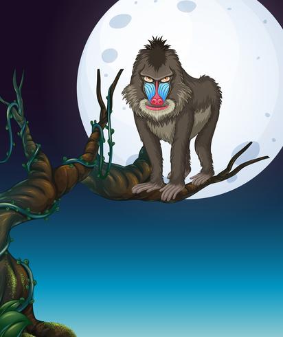 412x490 A Baboon On The Tree Night Scene Vector