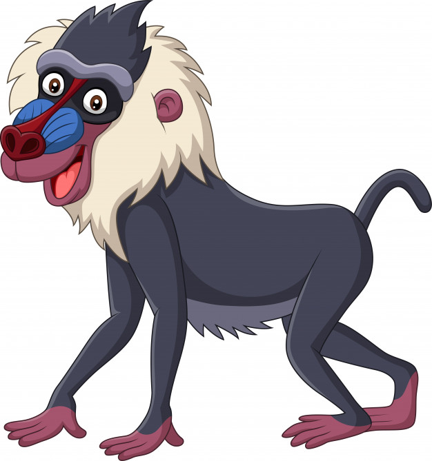 Baboon Vector at Collection of Baboon Vector free for
