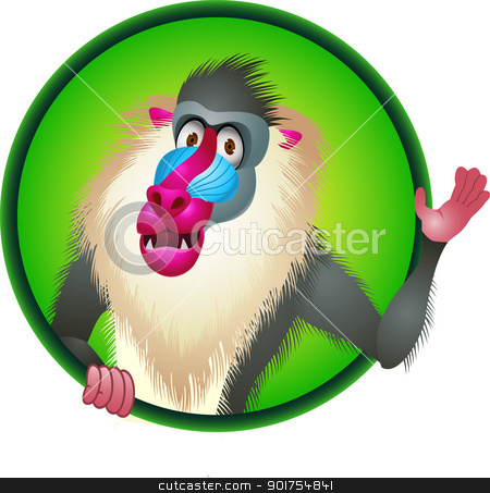 450x453 Baboon Cartoon Stock Vector