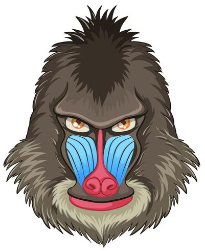 401x490 Mandrill Baboon