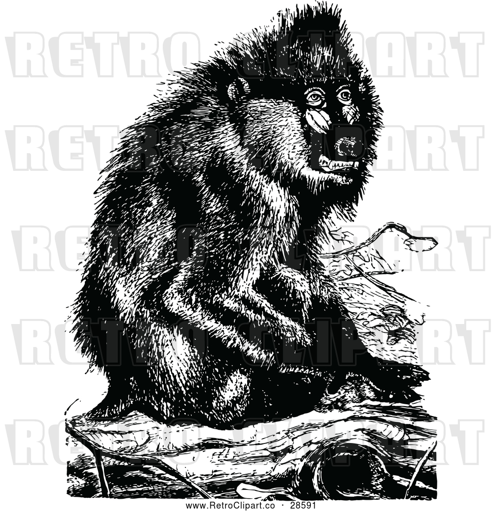 1024x1044 Vector Clip Art Of Retro Baboon Monkey Sitting On A Log