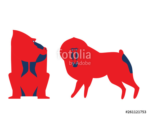 500x390 Vector Illustration Of Baboon Vector Baboon In Unusual Bold