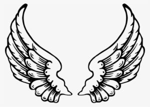 300x214 Angel Wings Vector Png, Transparent Angel Wings Vector Png Image