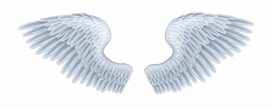 920x363 Baby Angel Wings Png