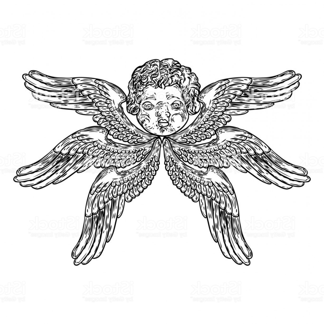 Download Baby Angel Wings Vector at Vectorified.com | Collection of ...