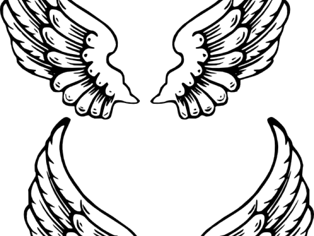 640x480 Hd Drawn Wings Baby Angel